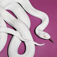 DEFTONES - PRIVATE MUSIC (ALTERNATE COVER, SOFTPAK) (CD)