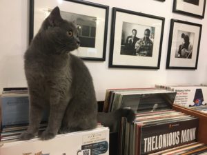 Дюкян Меломан грамофонни плочи