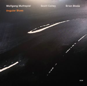 WOLFGANG MUTHSPIEL, SCOTT COLLEY, BRIAN BLADE - ANGULAR BLUES (LP)