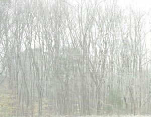 TAYLOR SWIFT - EVERMORE (CD) TAYLOR SWIFT - EVERMORE (CD)