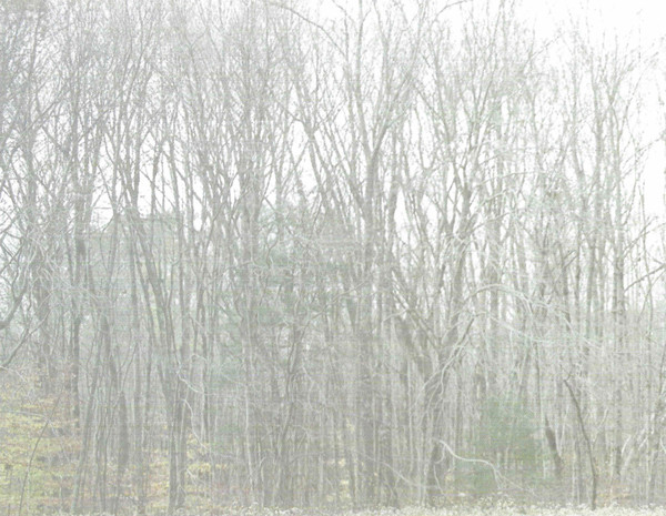 TAYLOR SWIFT - EVERMORE (CD) TAYLOR SWIFT - EVERMORE (CD) - Image 28