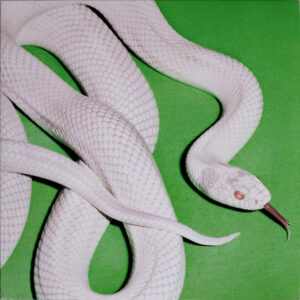 DEFTONES - PRIVATE MUSIC (LP)