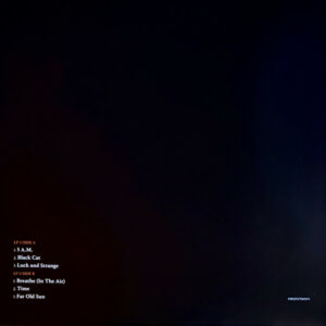 GILMOUR, DAVID - THE LUCK AND STRANGE CONCERTS (4-LP)