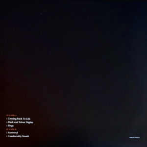 GILMOUR, DAVID - THE LUCK AND STRANGE CONCERTS (4-LP)