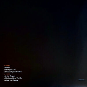 GILMOUR, DAVID - THE LUCK AND STRANGE CONCERTS (4-LP)