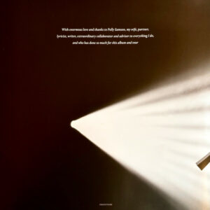 GILMOUR, DAVID - THE LUCK AND STRANGE CONCERTS (4-LP)