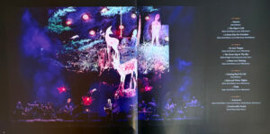 GILMOUR, DAVID - THE LUCK AND STRANGE CONCERTS (4-LP)